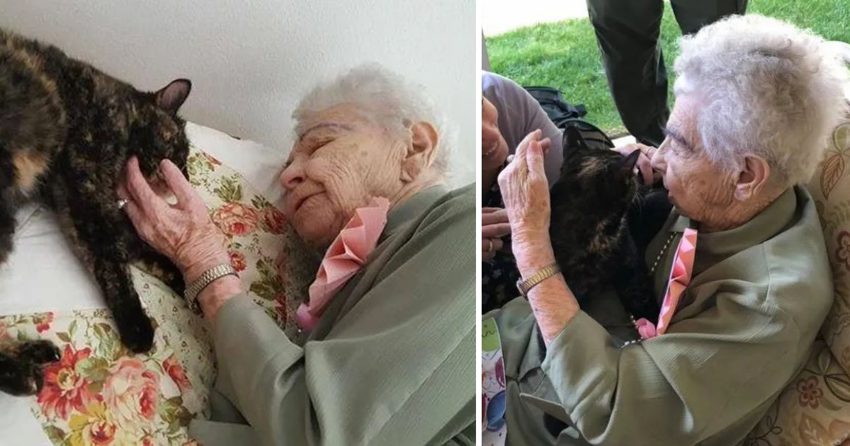 103-Year-Old Woman Sacrifices Her Own Birthday Party to Embrace a Rescued Cat