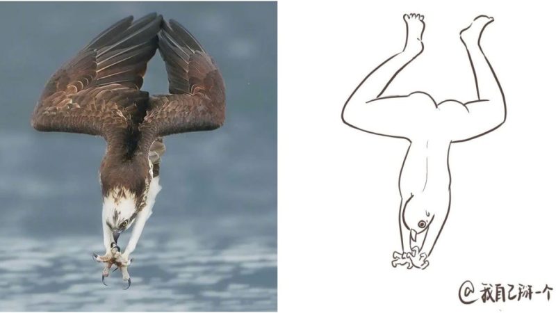 If the fishing posture of an eagle were depicted as a human figure.