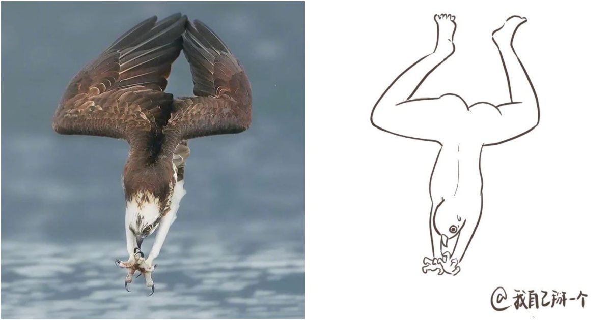 If the fishing posture of an eagle were depicted as a human figure.