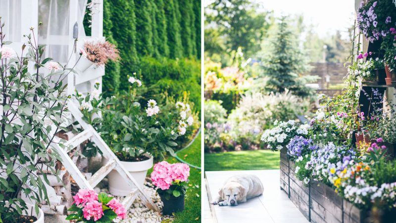 A Beautiful Garden: Marta Potoczek’s Cozy Country Retreat