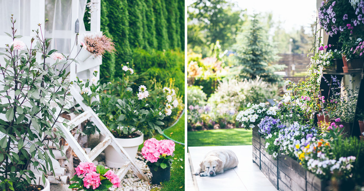 A Beautiful Garden: Marta Potoczek’s Cozy Country Retreat