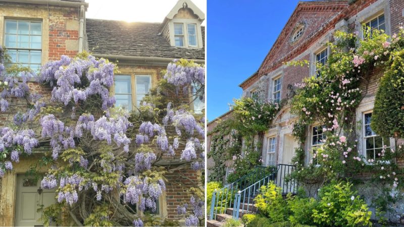 A Classic English-style Private Garden, Beautiful and Full of Fairy Tales