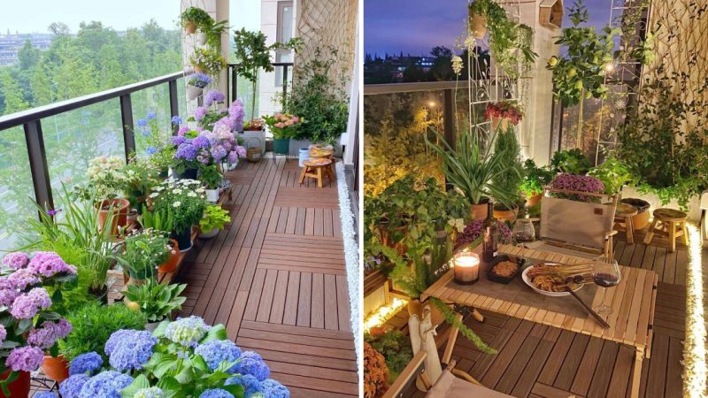 A Few Square Meters of Balcony Garden That Delights Everyone