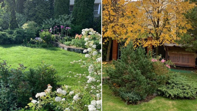 A Paradise-Styled Garden: The Exquisite Garden of Olga Sazonova