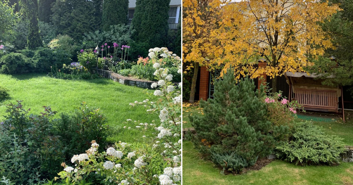 A Paradise-Styled Garden: The Exquisite Garden of Olga Sazonova