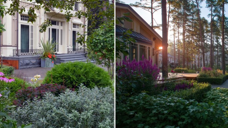 A Picturesque Garden Oasis in Komarovo: Embracing Nature’s Beauty