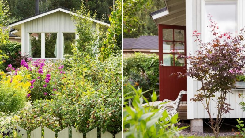 A Small but Cozy House and a Beautiful Garden for the Whole Family