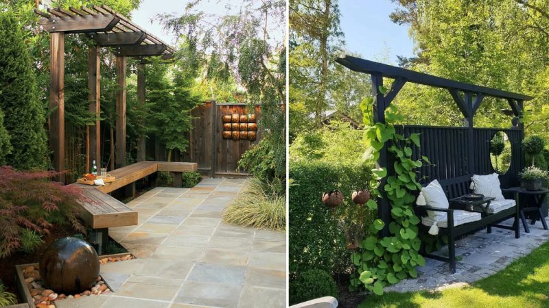 An Oasis of Life in the Garden: Achieving Maximum Comfort and Beauty