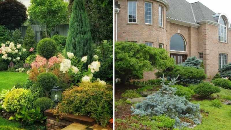 Architect’s Tips for Designing a Stunningly Aesthetic Garden: Landscape Design and Plant Selection