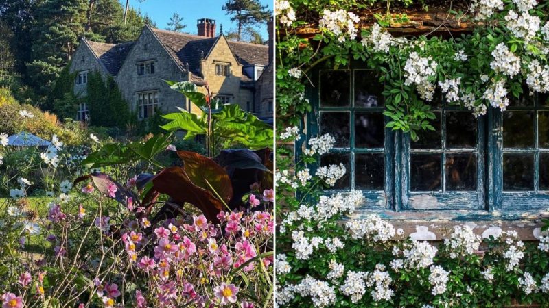 Beautiful Cottage Garden in England: William Robinson and Gravetye Manor