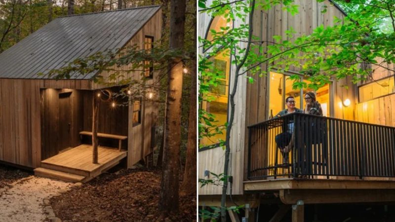 Cozy Little House Amidst the Forest: Utilizing Space, Huge Windows, Swings, and Interior Staircases