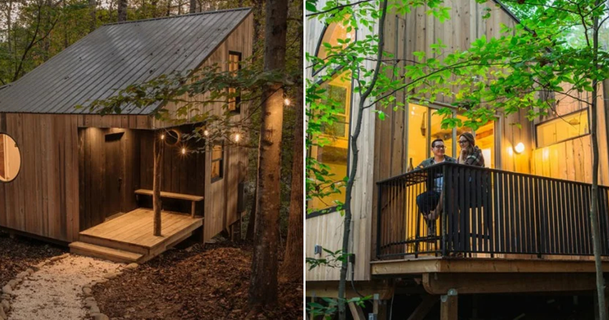 Cozy Little House Amidst the Forest: Utilizing Space, Huge Windows, Swings, and Interior Staircases