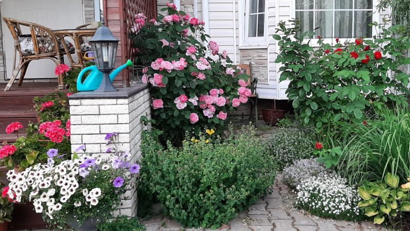 Elena Stepanova’s Wonderful Garden in the Leningrad Region