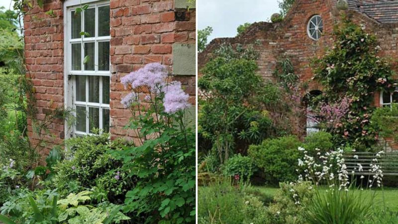 English Garden Amidst Ruins