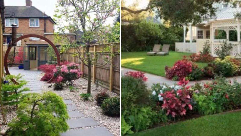 Creating a Low-Maintenance Garden: Exploring Beautiful Design Options