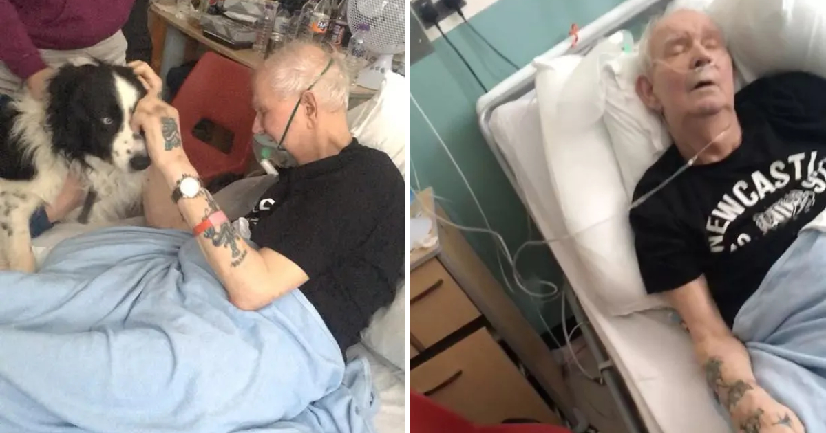 Heartwrenching Moment Grandpa’s Dying Wish to See Beloved Dog Comes True Before Passing