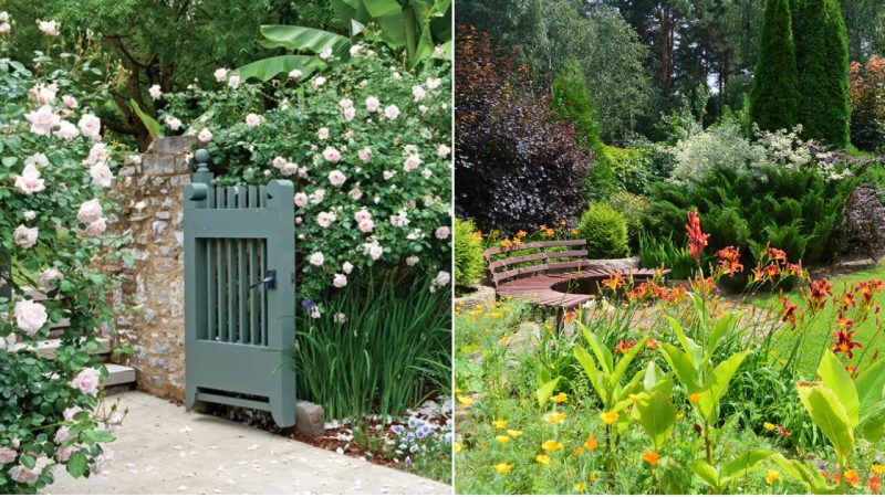 How Does a Designer Garden Differ from an Amateur Garden?