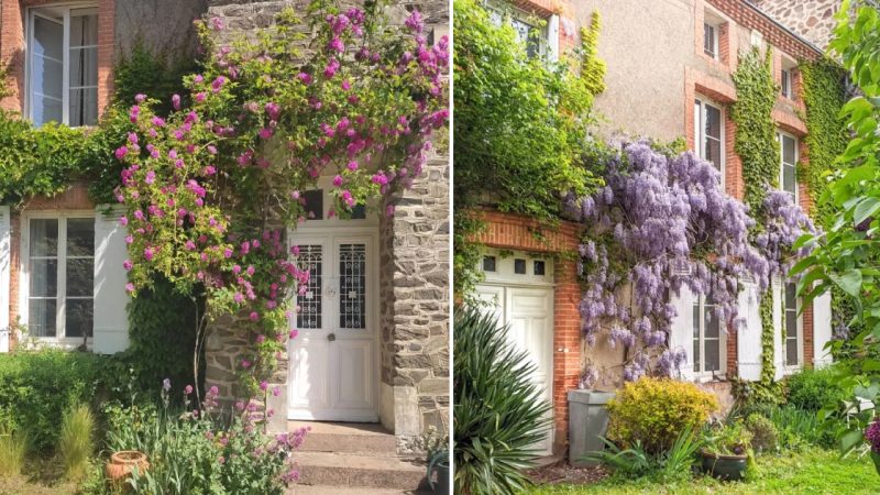 Idyllic 1836 Stone House with an Incredible Setting in the French Countryside