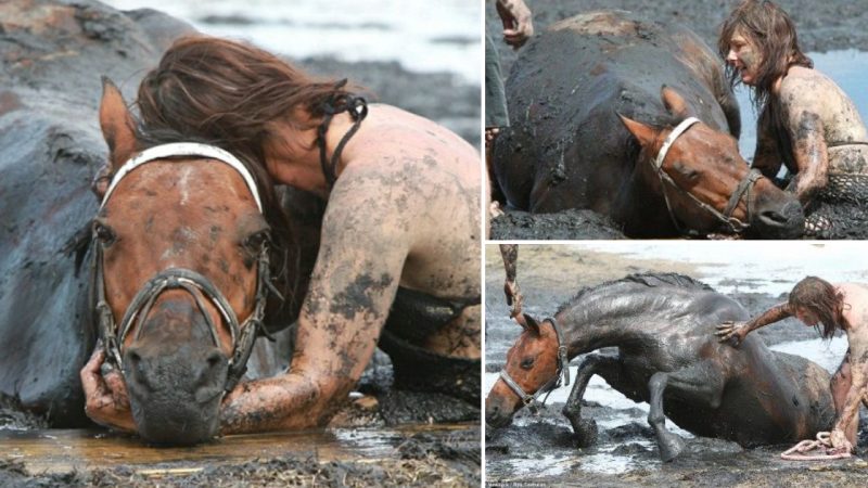 Nicole Graham’s Heroic Effort to Save Her Horse from a Perilous Mud Trap