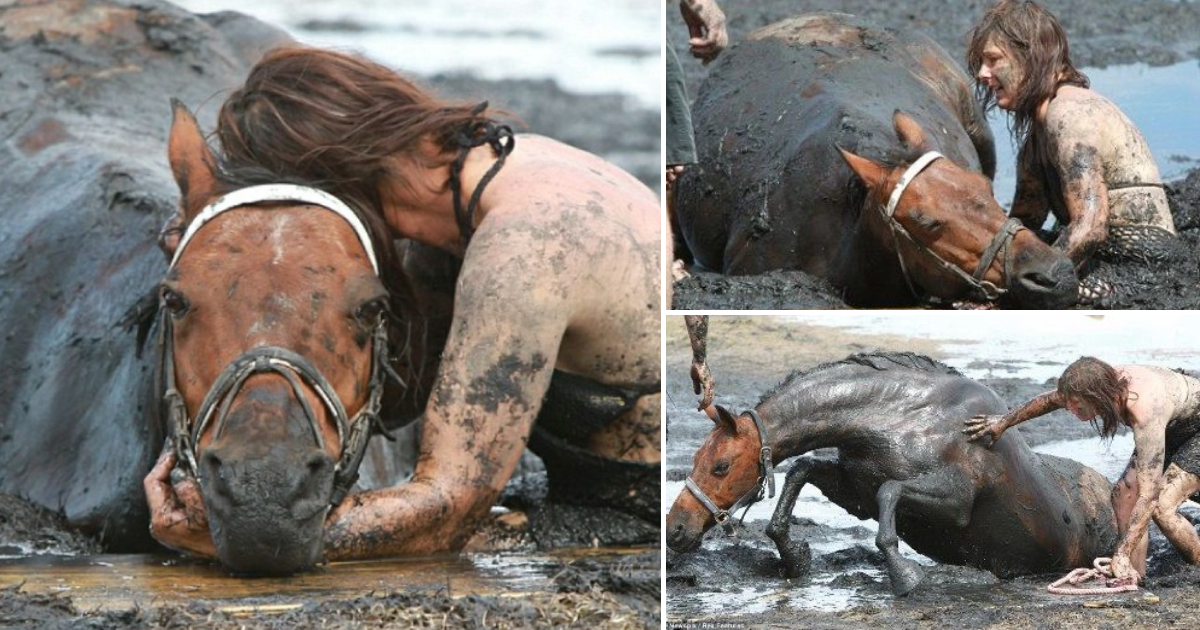 Nicole Graham’s Heroic Effort to Save Her Horse from a Perilous Mud Trap