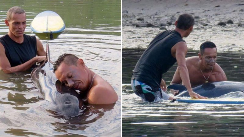Surfers Respond to Desperate Cries of Baby Whale, Devote 6 Hours to Saving Her