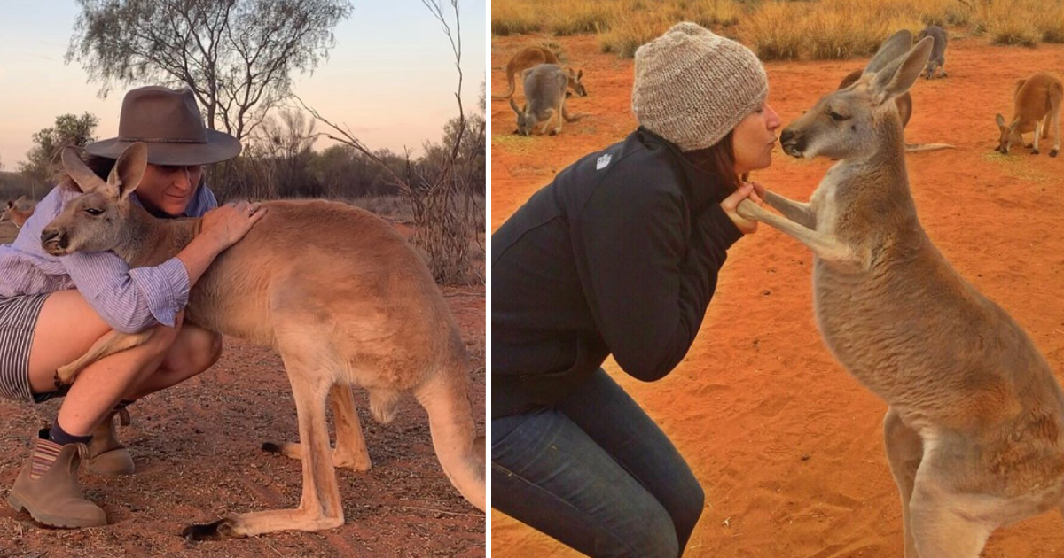 The Heartwarming Tale of Abigail: The Hugging Kangaroo