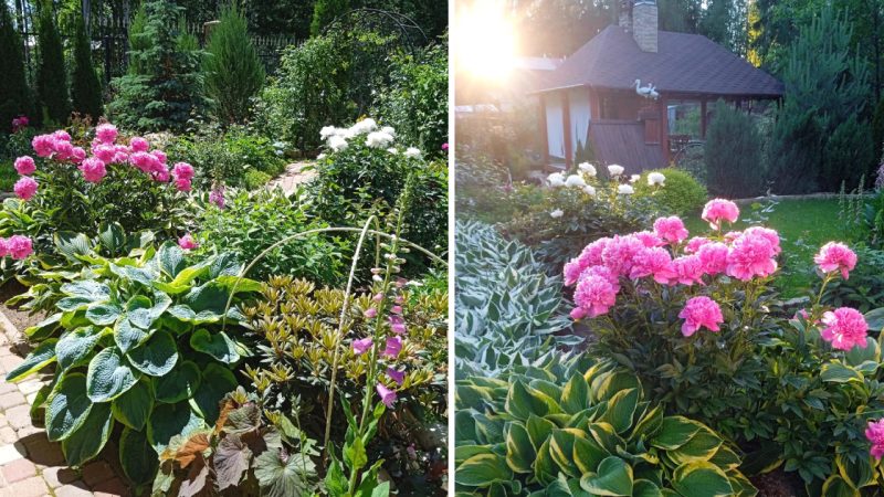 The Village Garden in a Modern Style. A Narrow Plot, A Slope, And Red Clay…