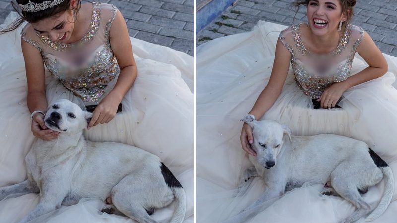 Homeless Puppy Interrupts 15-year-old Photo Session And Takes Center Stage