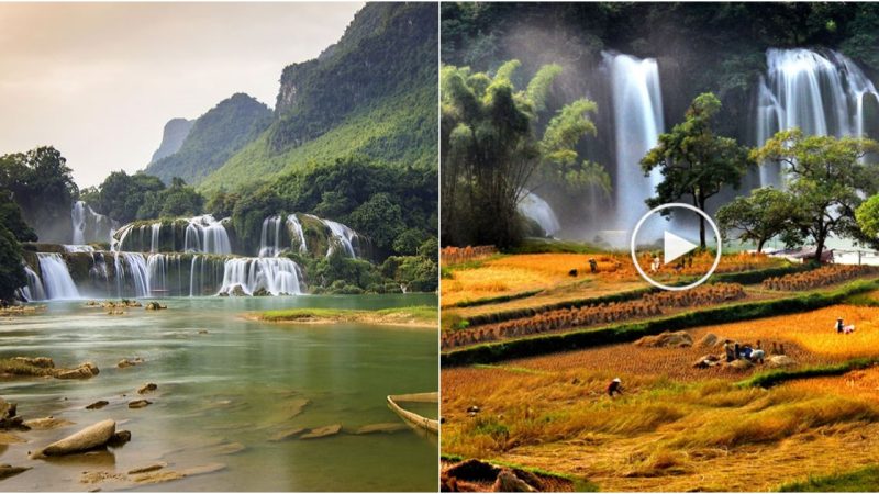 The Majestic Beauty of Ban Gioc Waterfall, Vietnam during the Water Cascades Season