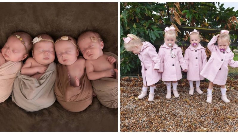 Four identical girls born in a quadruplet birth are extremely rare in the world, with a ratio of only 1 in 70 million cases. After three years, they have undergone astonishing changes