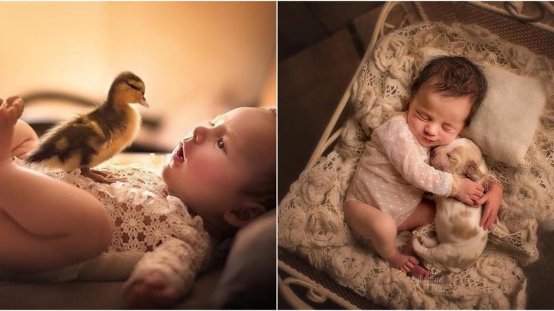 Heartwarming Photos of Newborn Babies Snuggling With Baby Animals