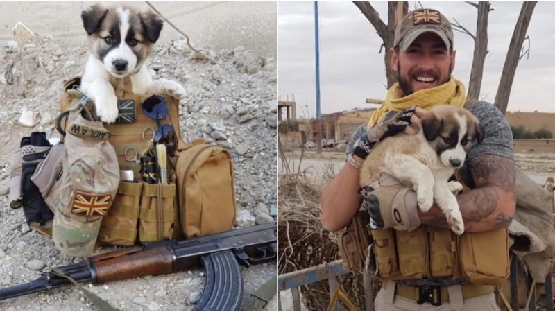 The soldier rescues a puppy from the debris, and the faithful companion remains nestled in his backpack at all times.