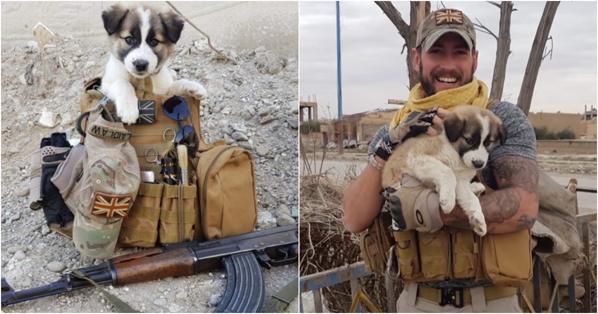 The soldier rescues a puppy from the debris, and the faithful companion remains nestled in his backpack at all times.