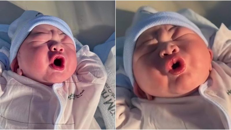 Fall head over heels for the captivating charm of a newborn baby’s expressions