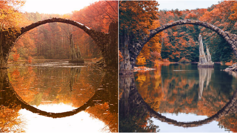 The Enchanting Beauty of Rakotzbrücke Bridge: A Captivating Landmark in Germany