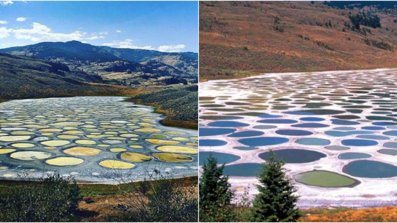 Spotted Lake – The Mysterious Polka Dot Lake in Canada