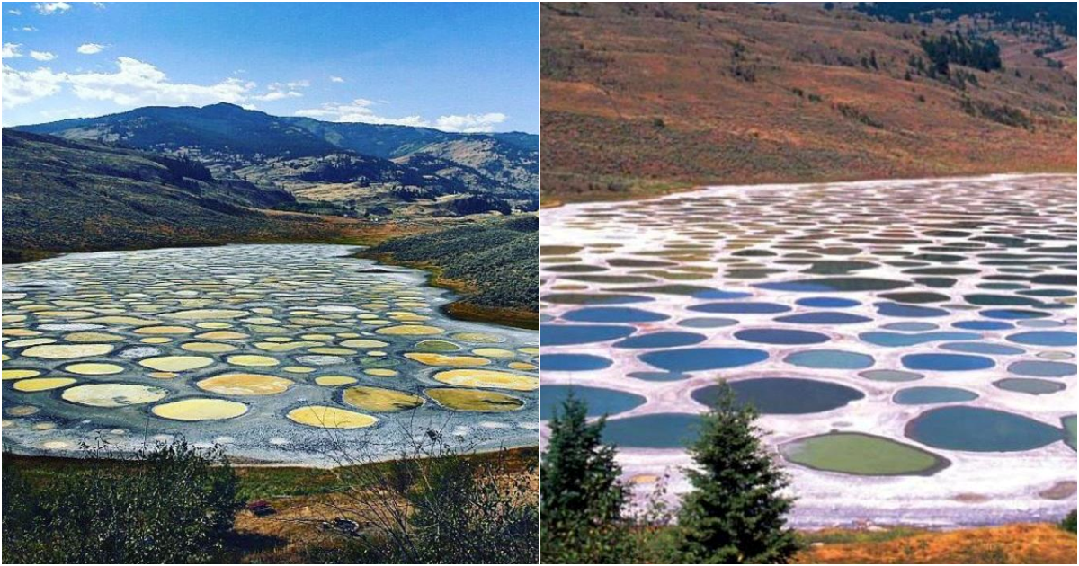 Spotted Lake – The Mysterious Polka Dot Lake in Canada