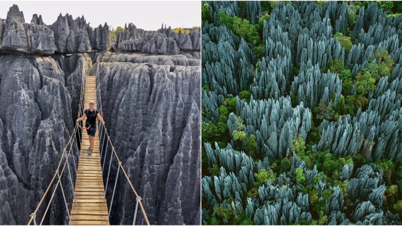 Tsingy Stone Forest: A Captivating Natural Wonder