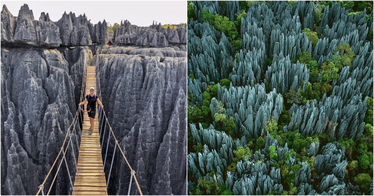 Tsingy Stone Forest: A Captivating Natural Wonder