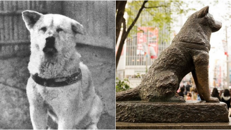 Hachiko: A Tale of Eternal Love