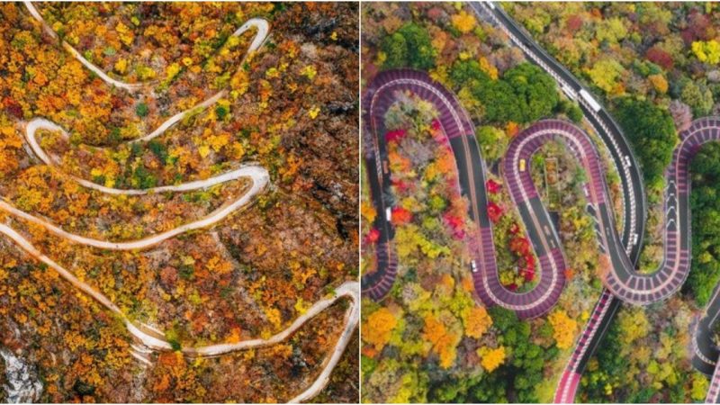 Beautiful Autumn Roads Around the World