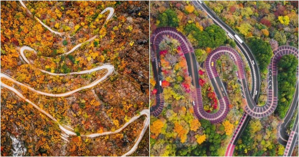 Beautiful Autumn Roads Around the World