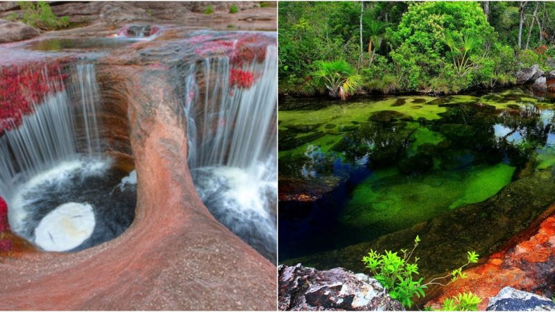 Admiring the Beauty of the Five-Colored River in Colombia