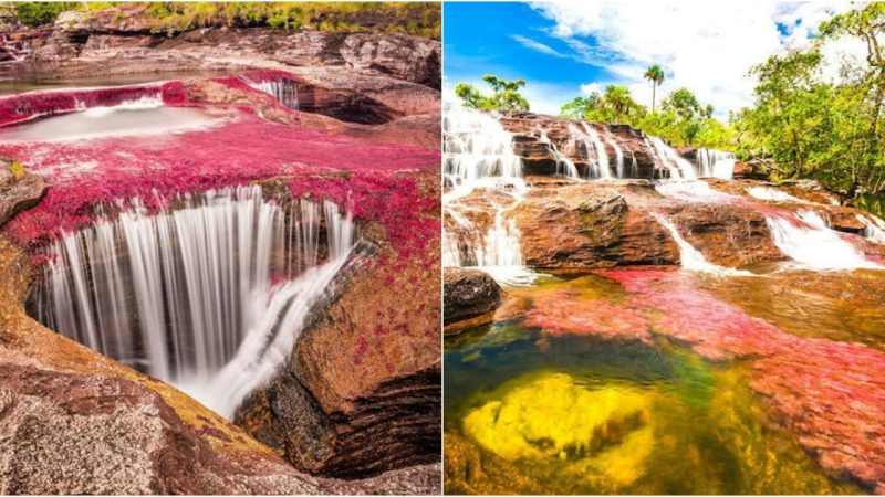 Marvel at the Enigmatic, Vibrantly Colored Rivers of Colombia