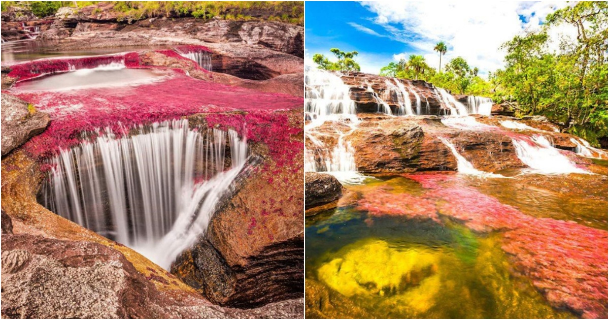 Marvel at the Enigmatic, Vibrantly Colored Rivers of Colombia