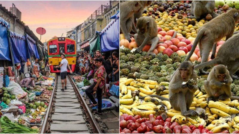 Bizarre Discoveries in Thailand