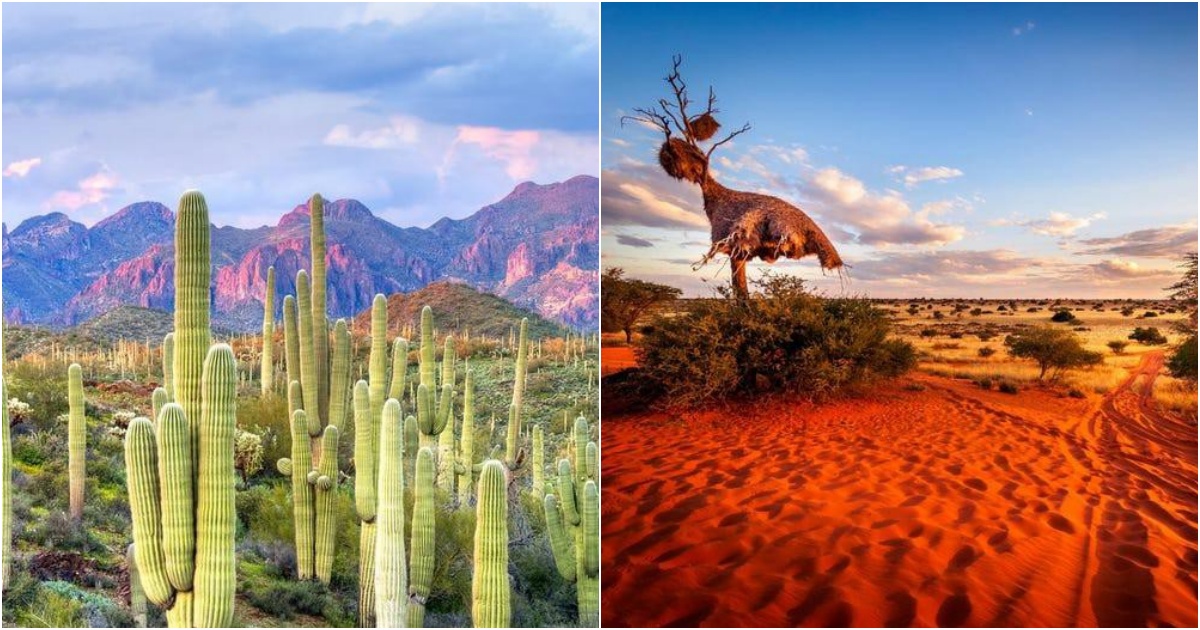 Captivatingly Beautiful Deserts Around the World: Discover the Marvelous Beauty of Renowned Deserts