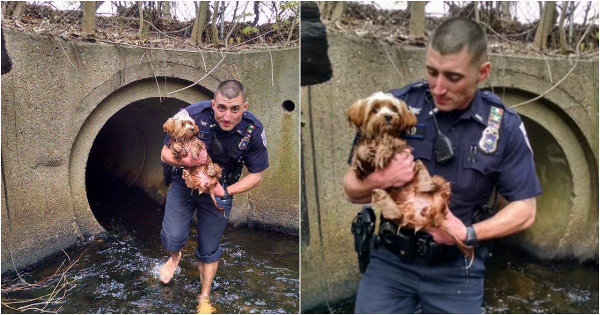 Heroic Cop Rescues Frightened Pup from Dark Tunnel, Barefoot and Fearless