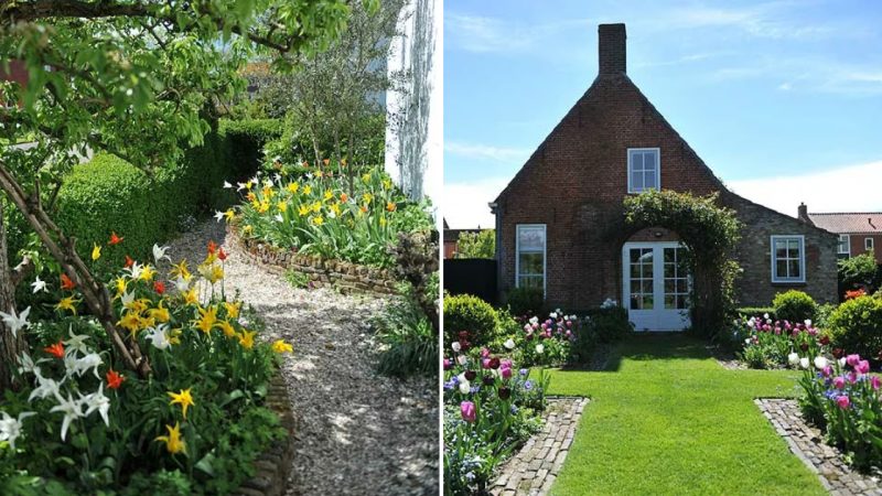 A Coastal Garden by the North Sea: Roses in Summer, Tulips in Spring