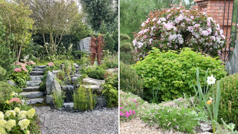 A Garden that Captured the Silver Medal at the Chelsea Exhibition